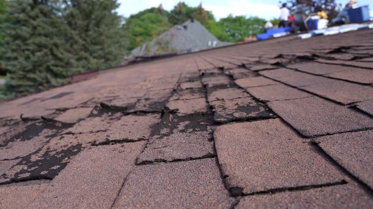 Best Roof Coating and Sealing  in University Of Pittsburgh Johnstown, PA